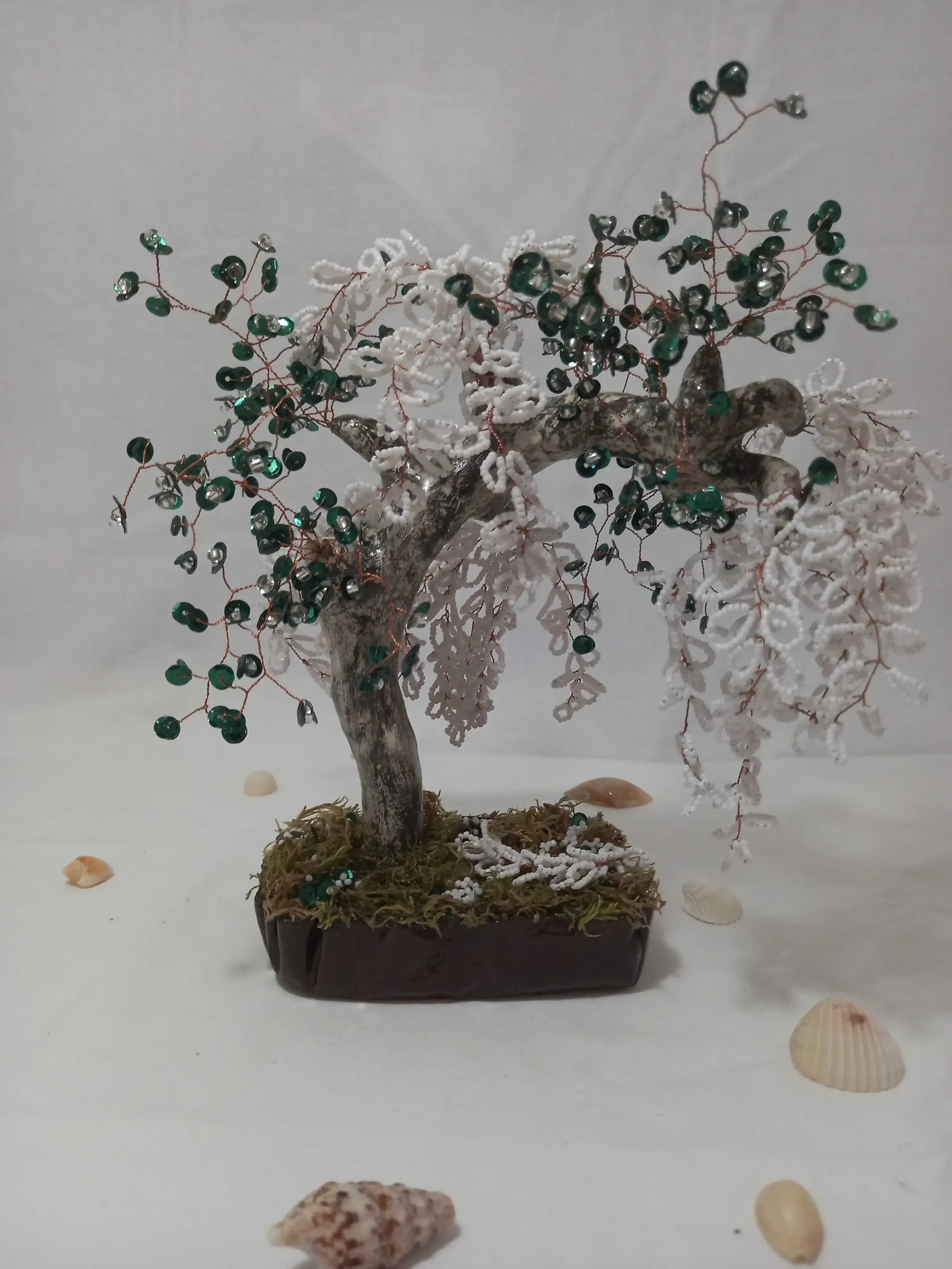 Bonsai Sauce Lloron Blanco  4