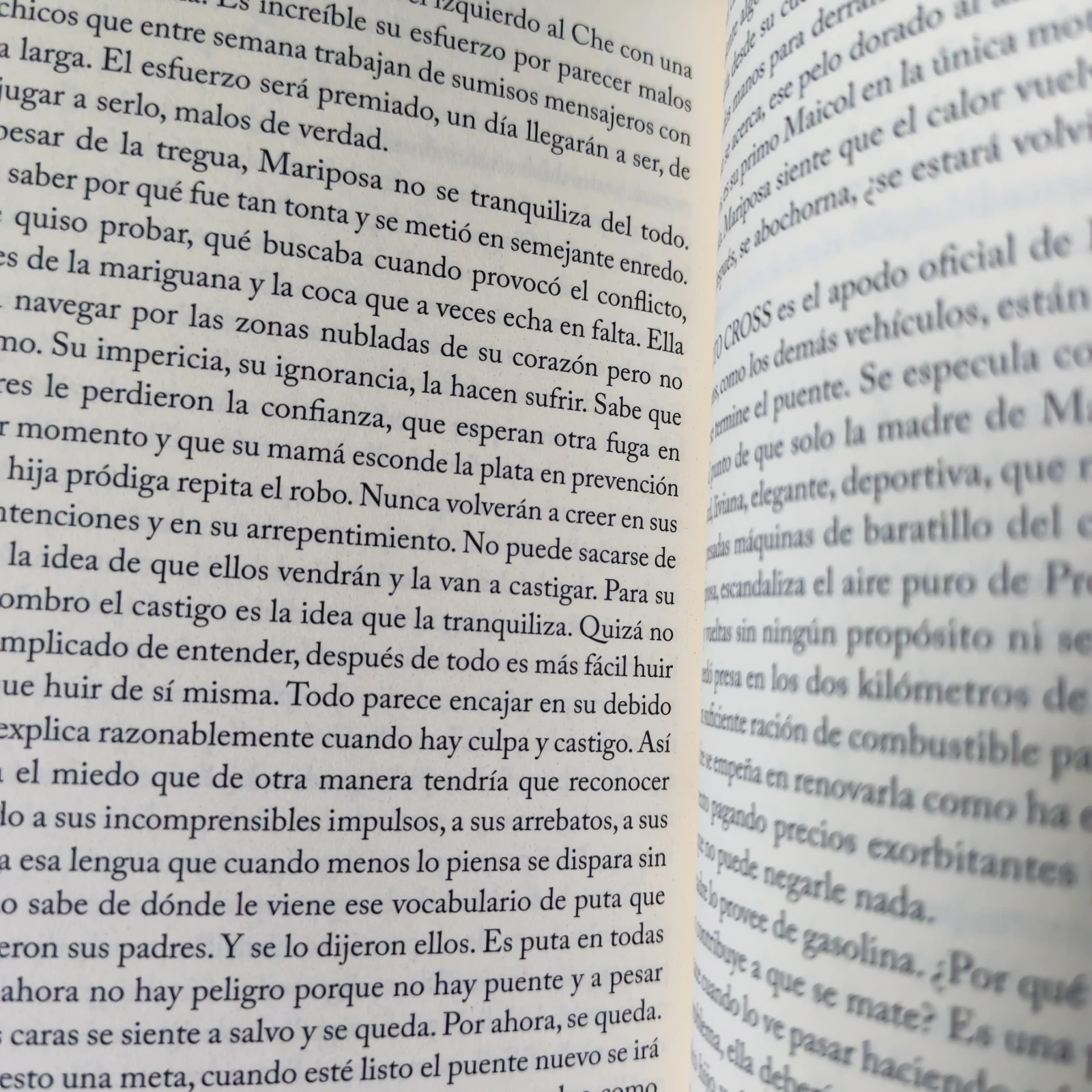 El puente de Ismael , Tatiana Lobo usado  3