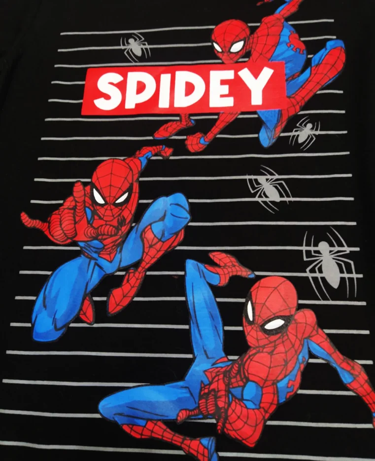 Spider-man  2