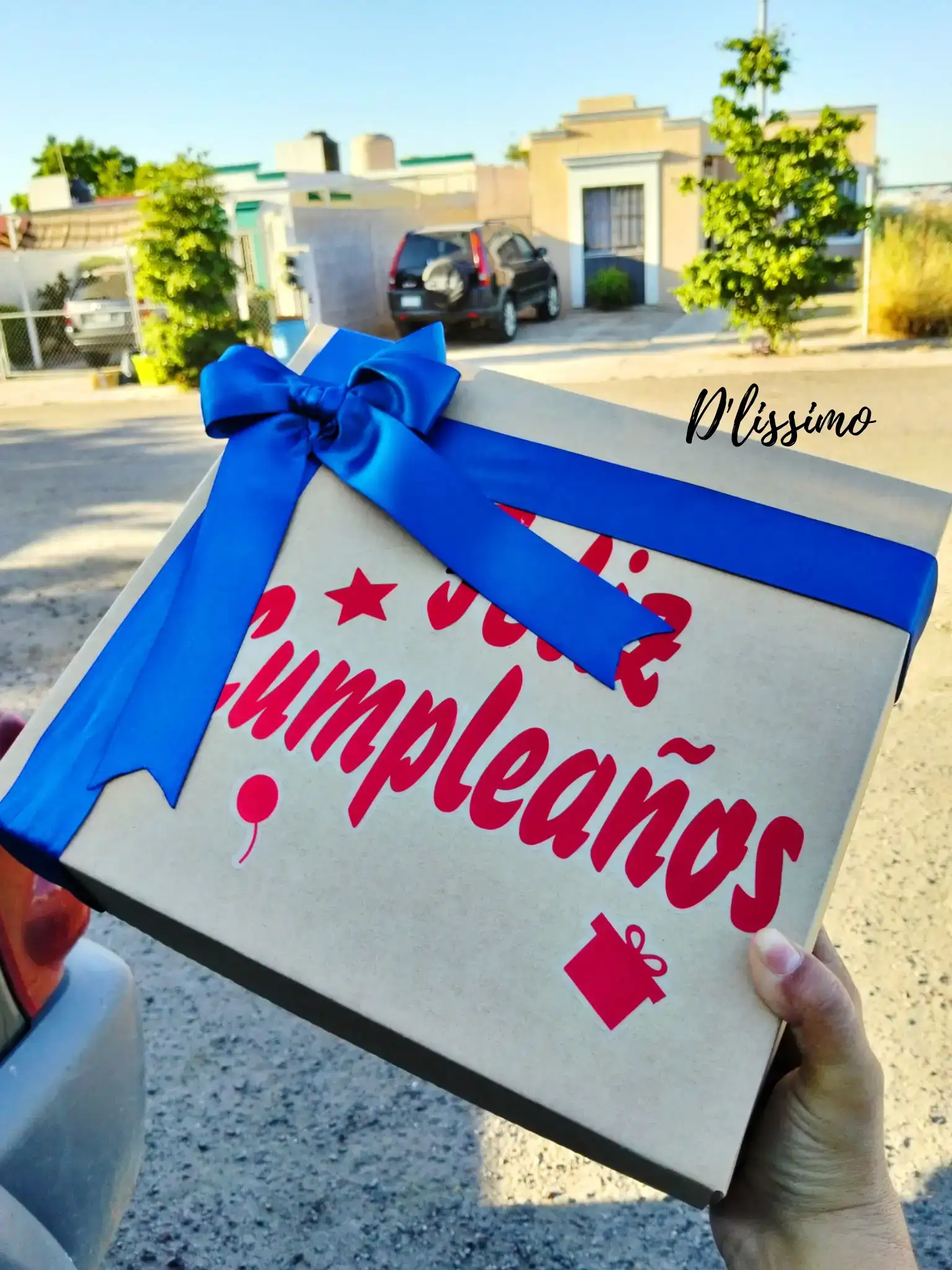 Caja regalo/ peluche  2