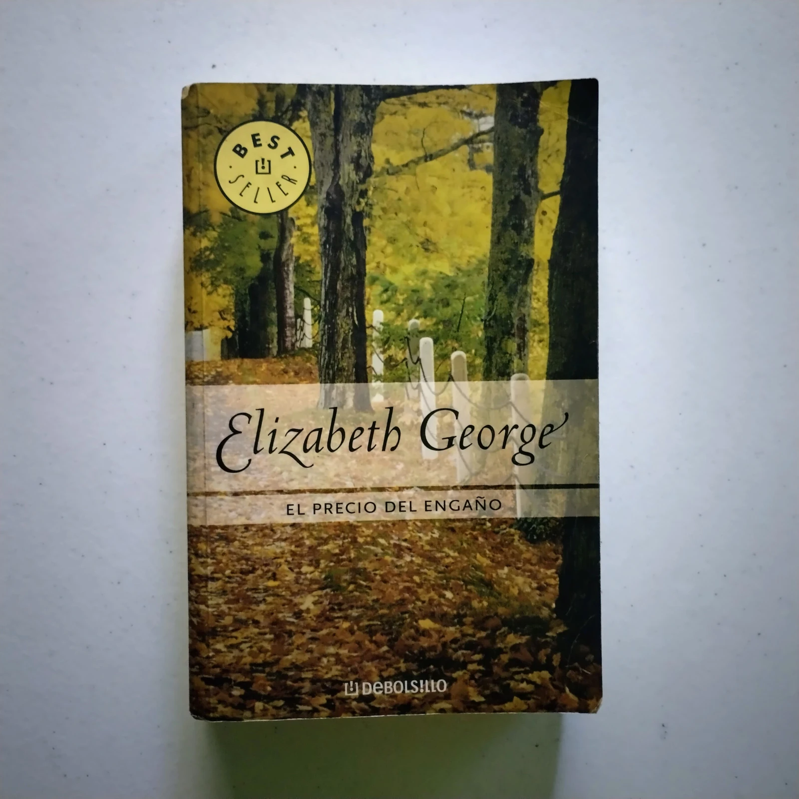 El precio del engaño, Elizabeth George, usado