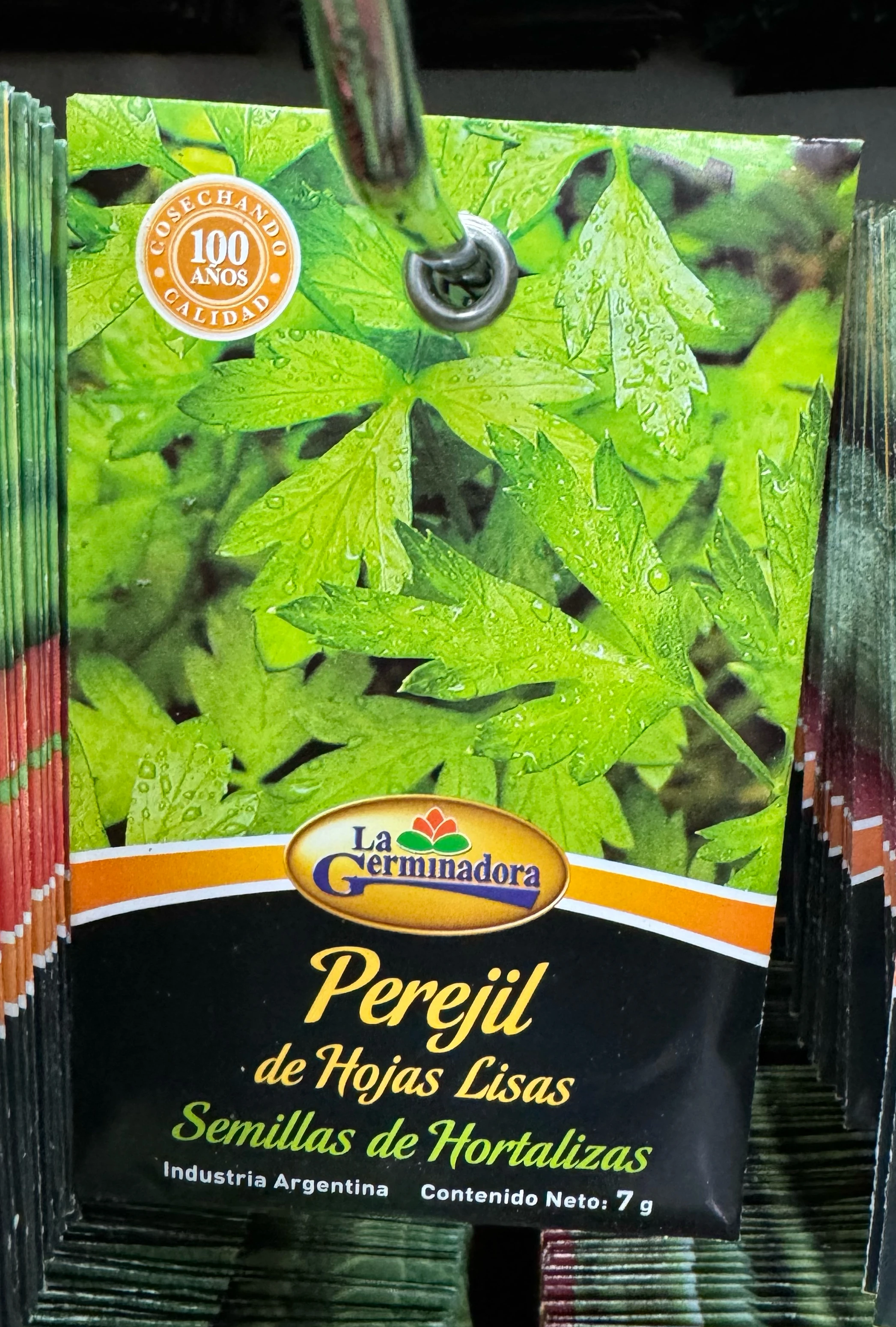 Semillas de perejil 