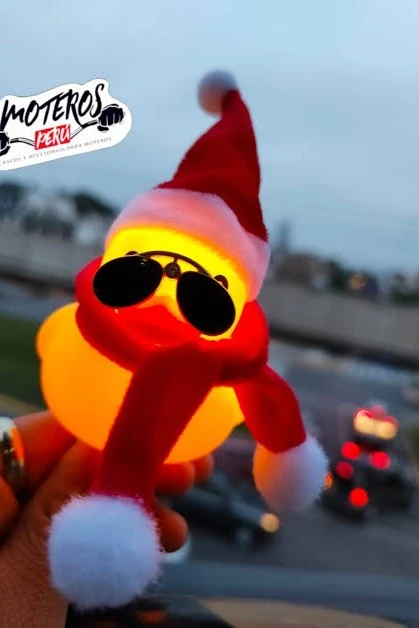PATO MOTERL NAVIDEÑO