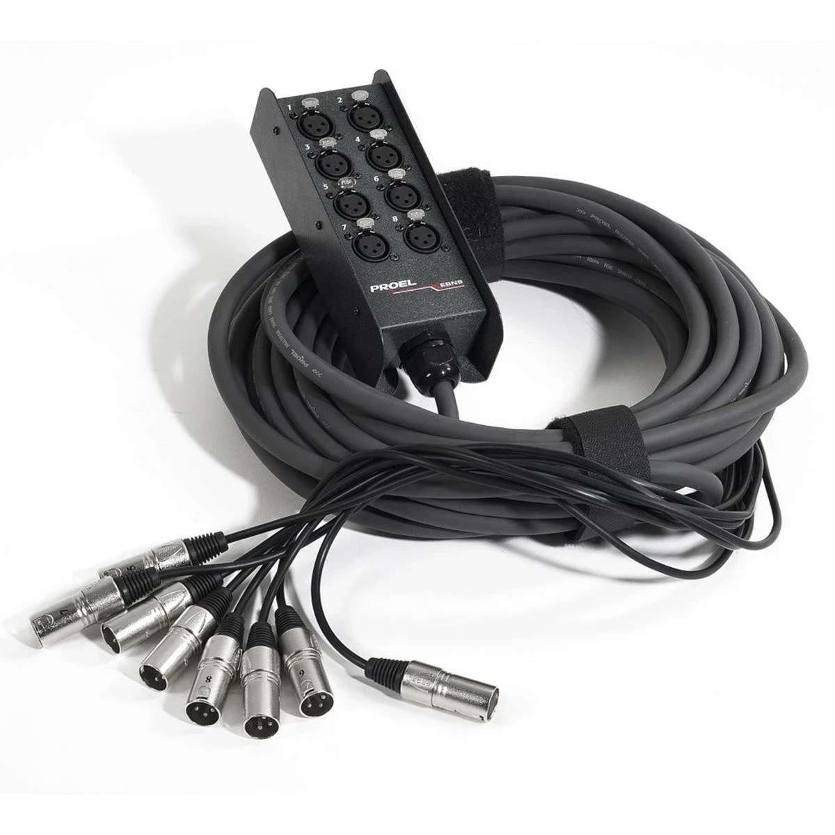 EBN8 MEDUSA PROEL