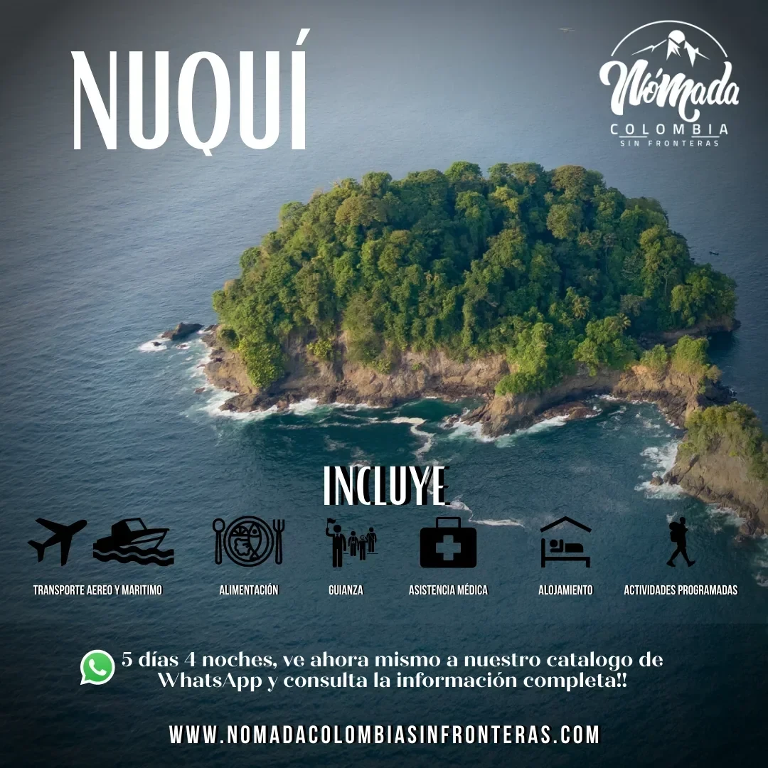 AVISTANDO LAS BALLENAS JOROBADAS DE NUQUI CHOCÓ