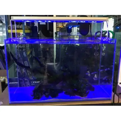 LAMPARA AQUANICE  4 COLORES DE 60 A 80 cm 2