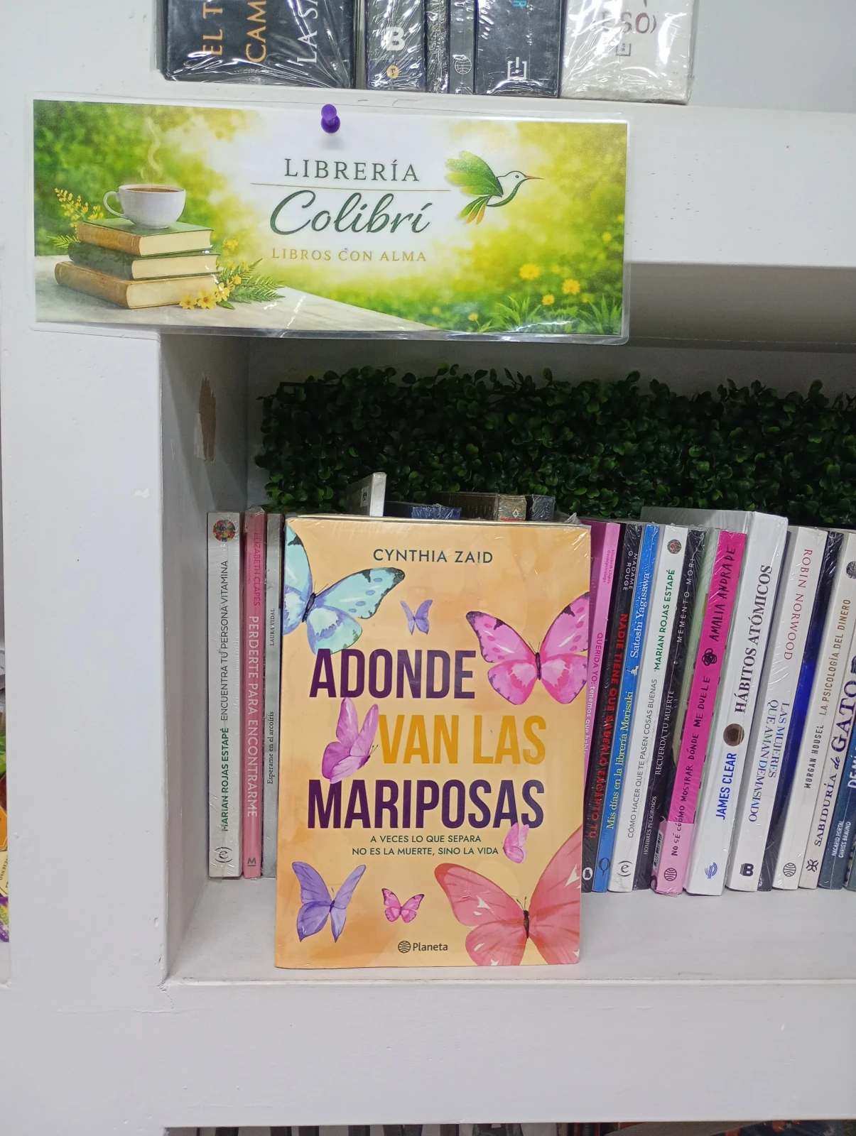 A donde van las mariposas 
