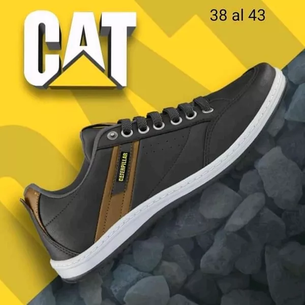 Caterpillar 4