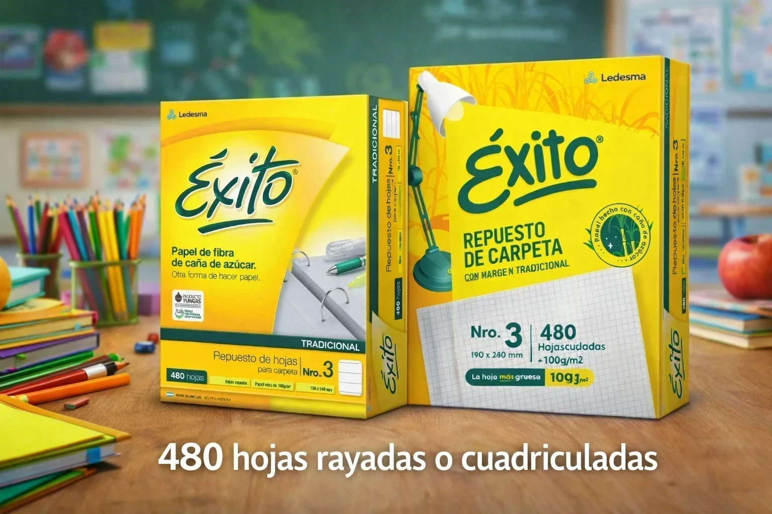 Repuesto de hojas cuadriculadas con margen tradicional Exito 2
