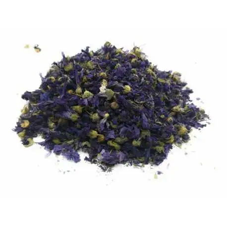 FLOR DE MALVA