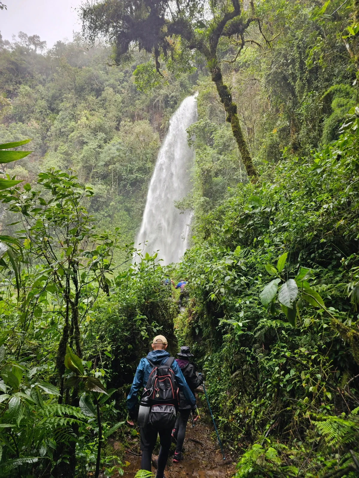 JARDÍN Y AVENTURA EN PASA DIA 6