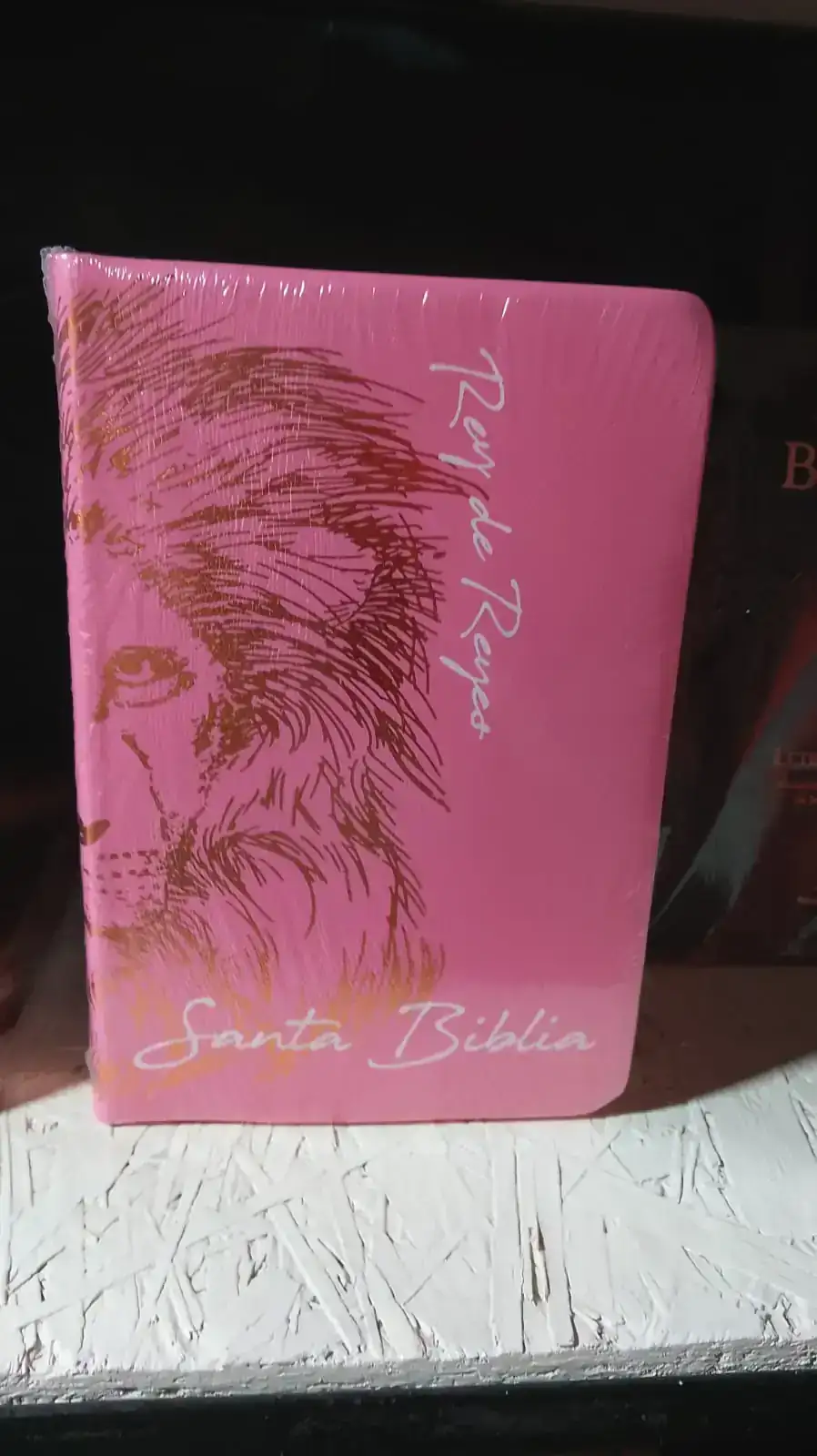 Biblia RV1960 Leon Rosa