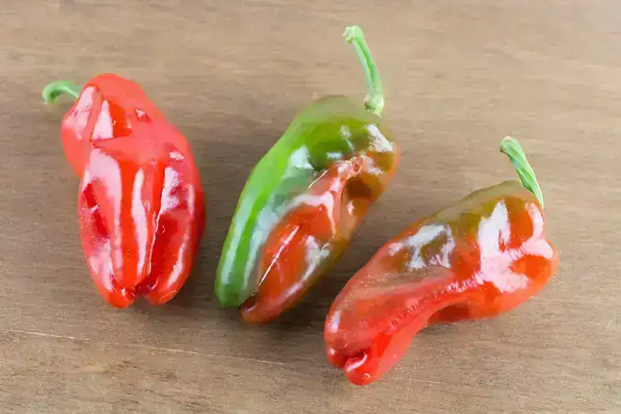 CHILE PIMIENTO GRANDE