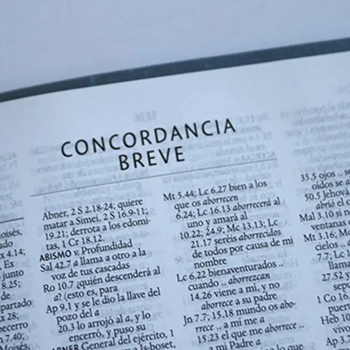 Santa Biblia Nombres de Dios Letra grande RVR60 Azul celeste 3