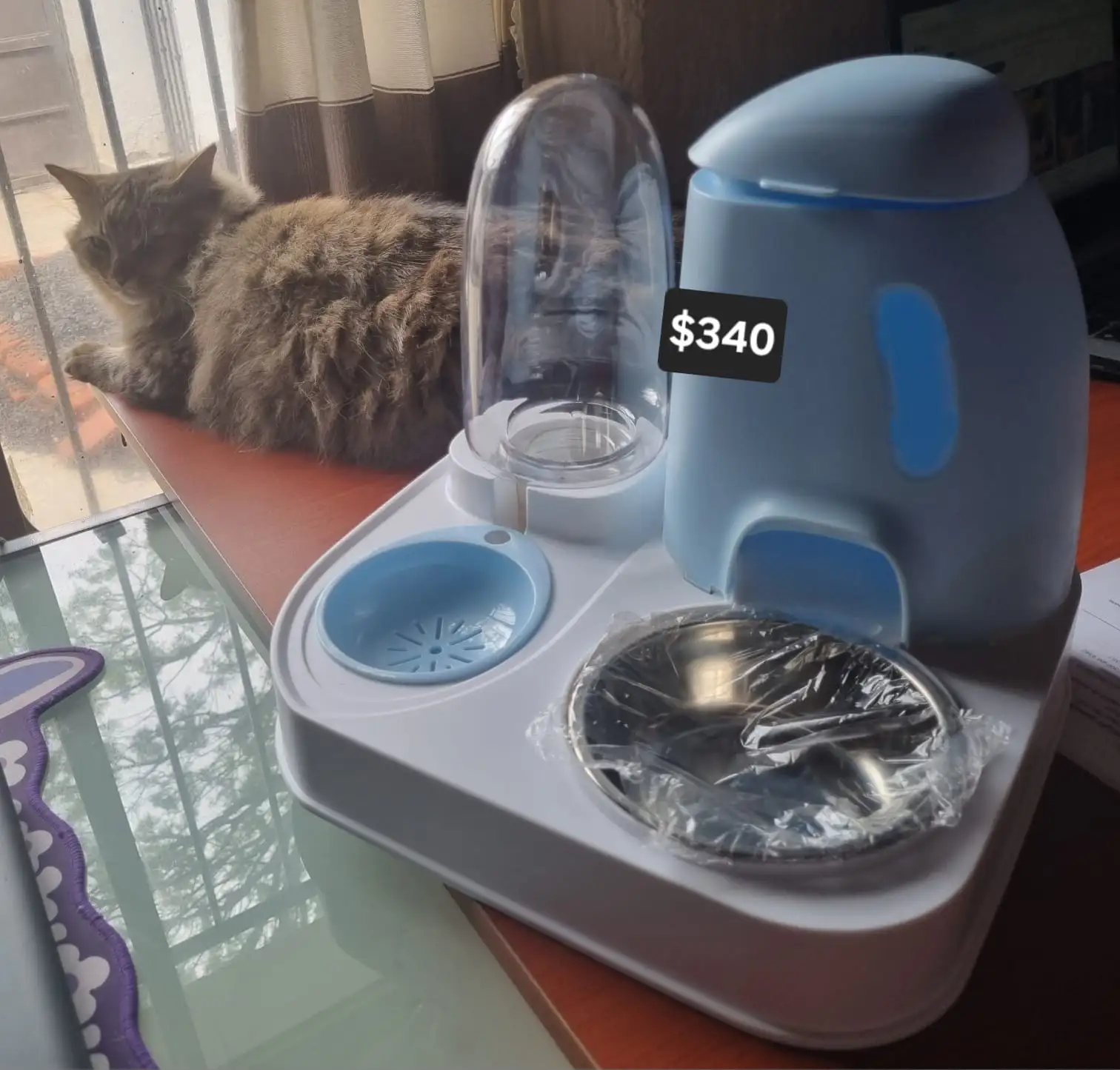 Comedero para mascotas 2