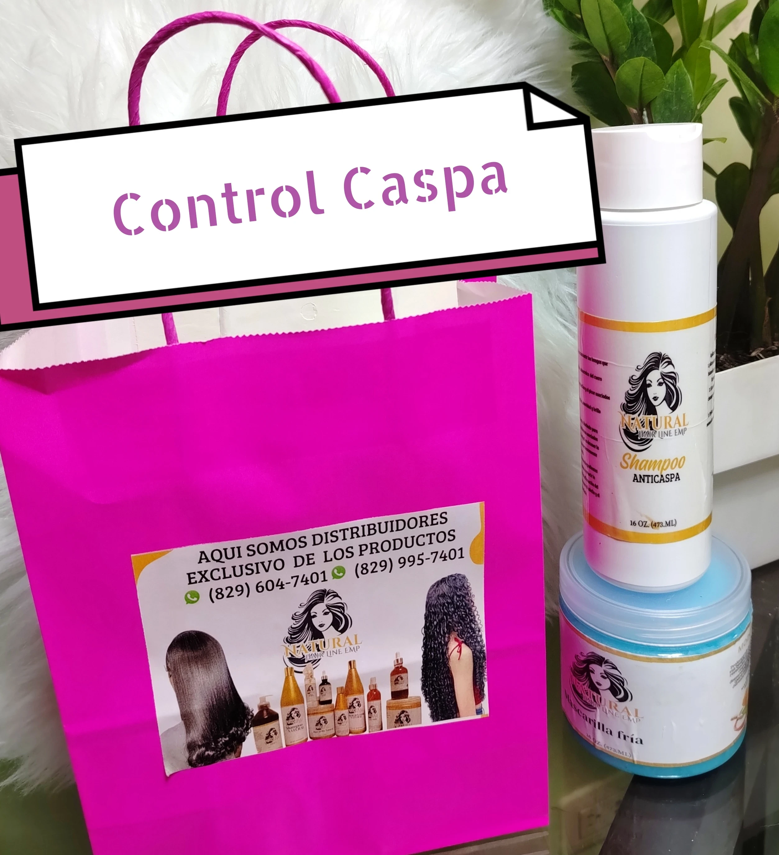 Kit Control Caspa