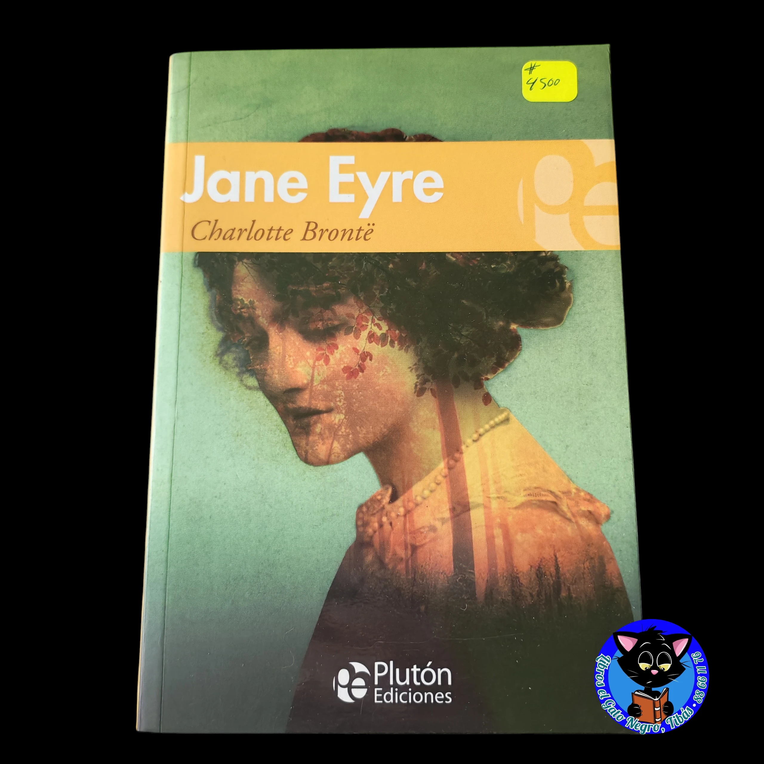 Jane Eyre, Charlotte Bronte, nuevo 