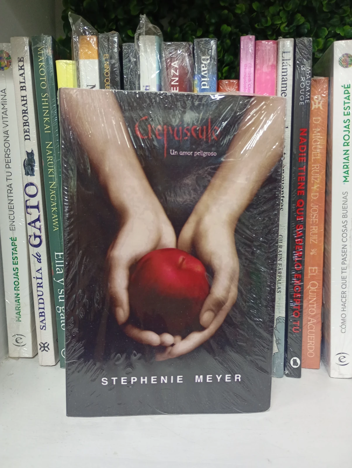 Crepusculo 2