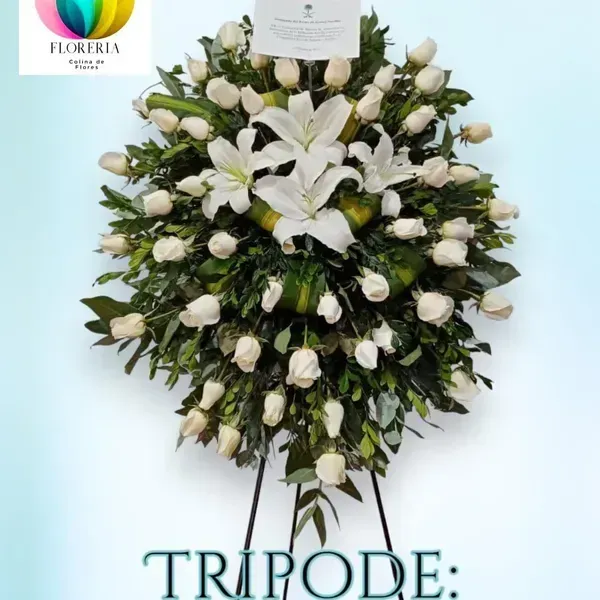 TRIPOS hombre 2m.