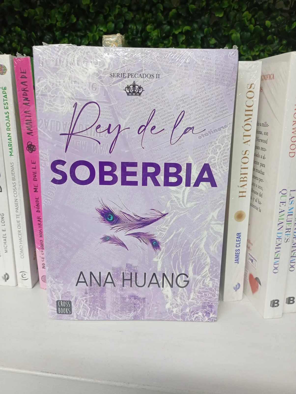 Rey de la soberbia 