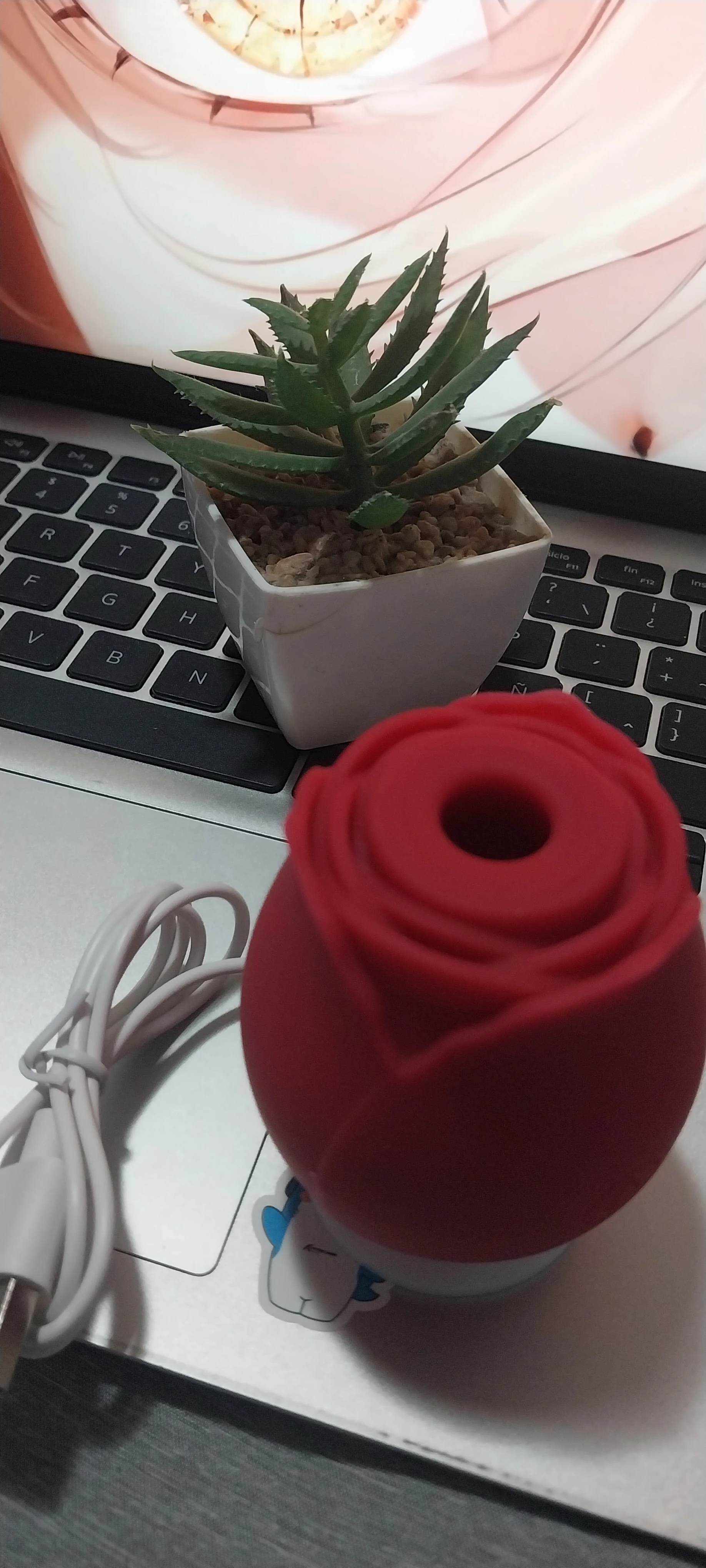 Rosa succion mini