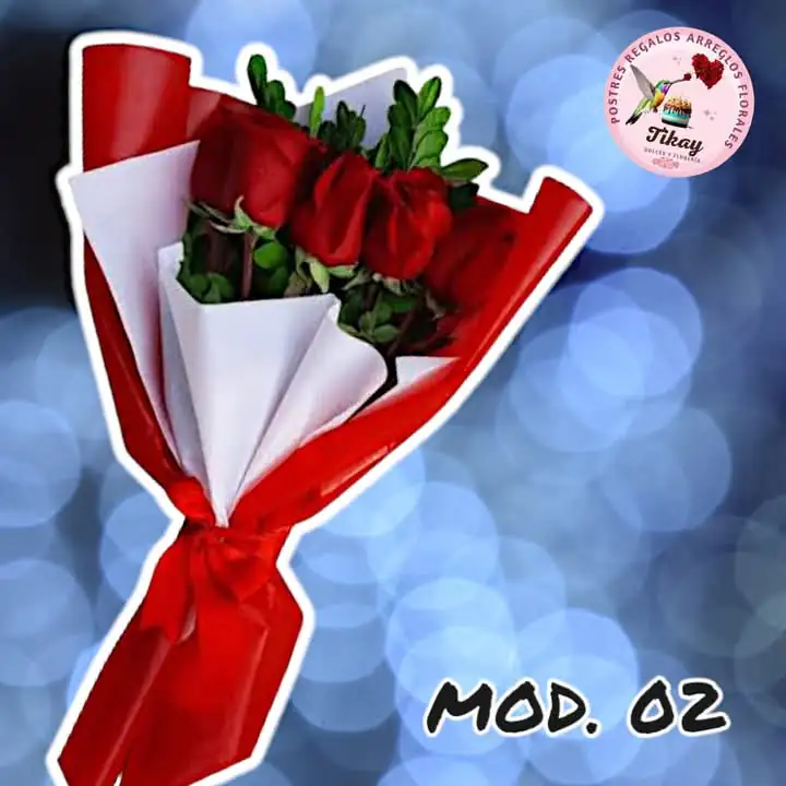 Mod. 02