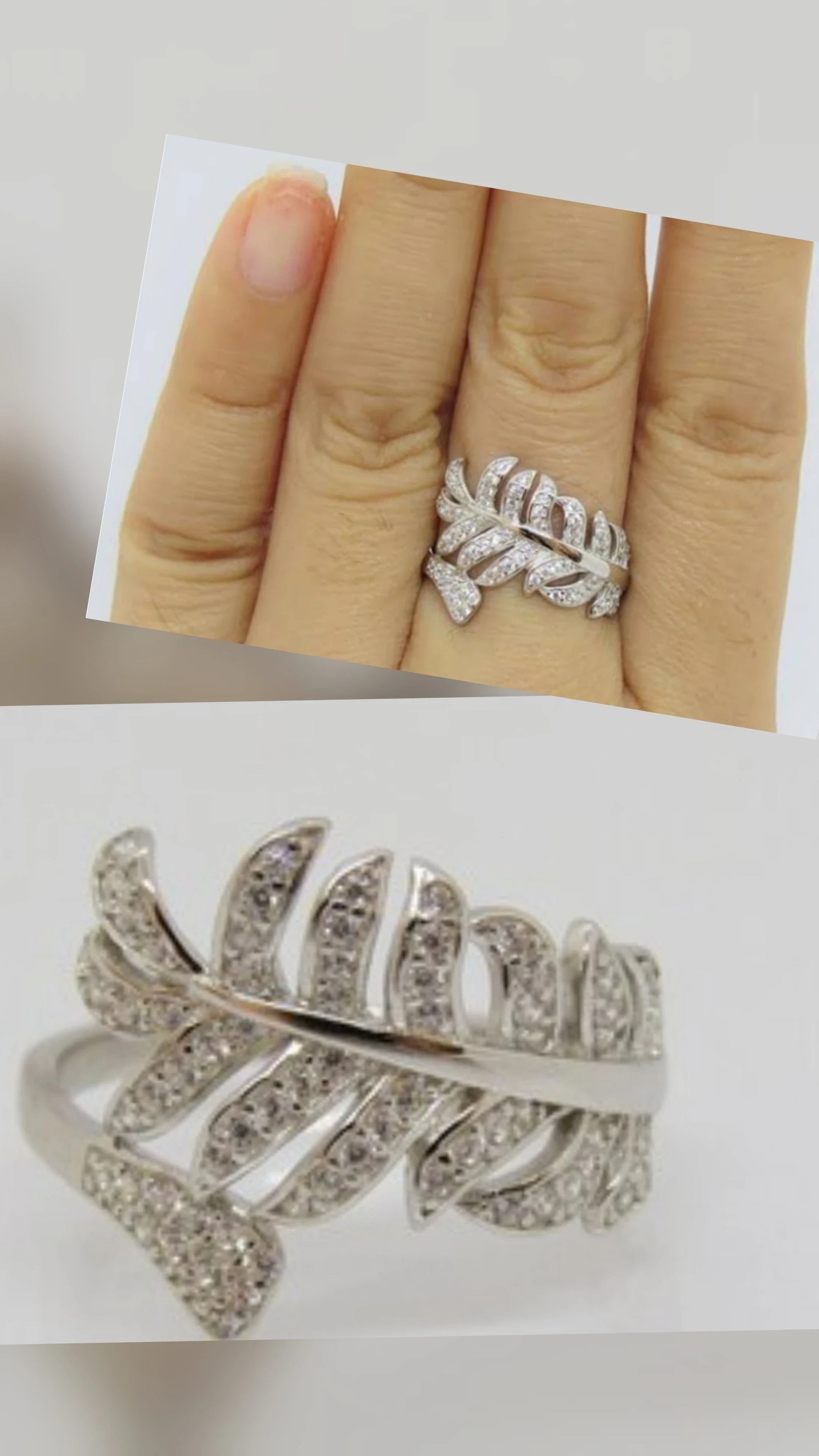 Anillo