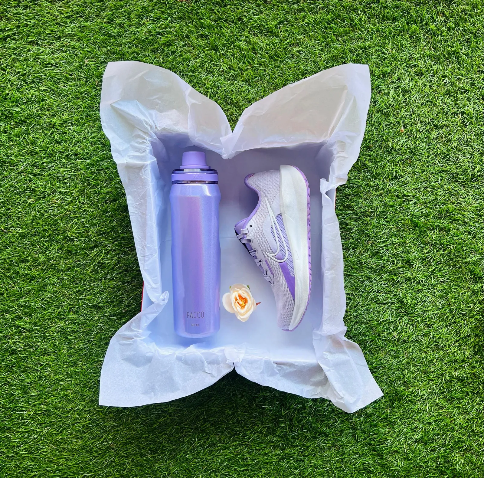 KIT 05 ACADEMIA PREMIUM 