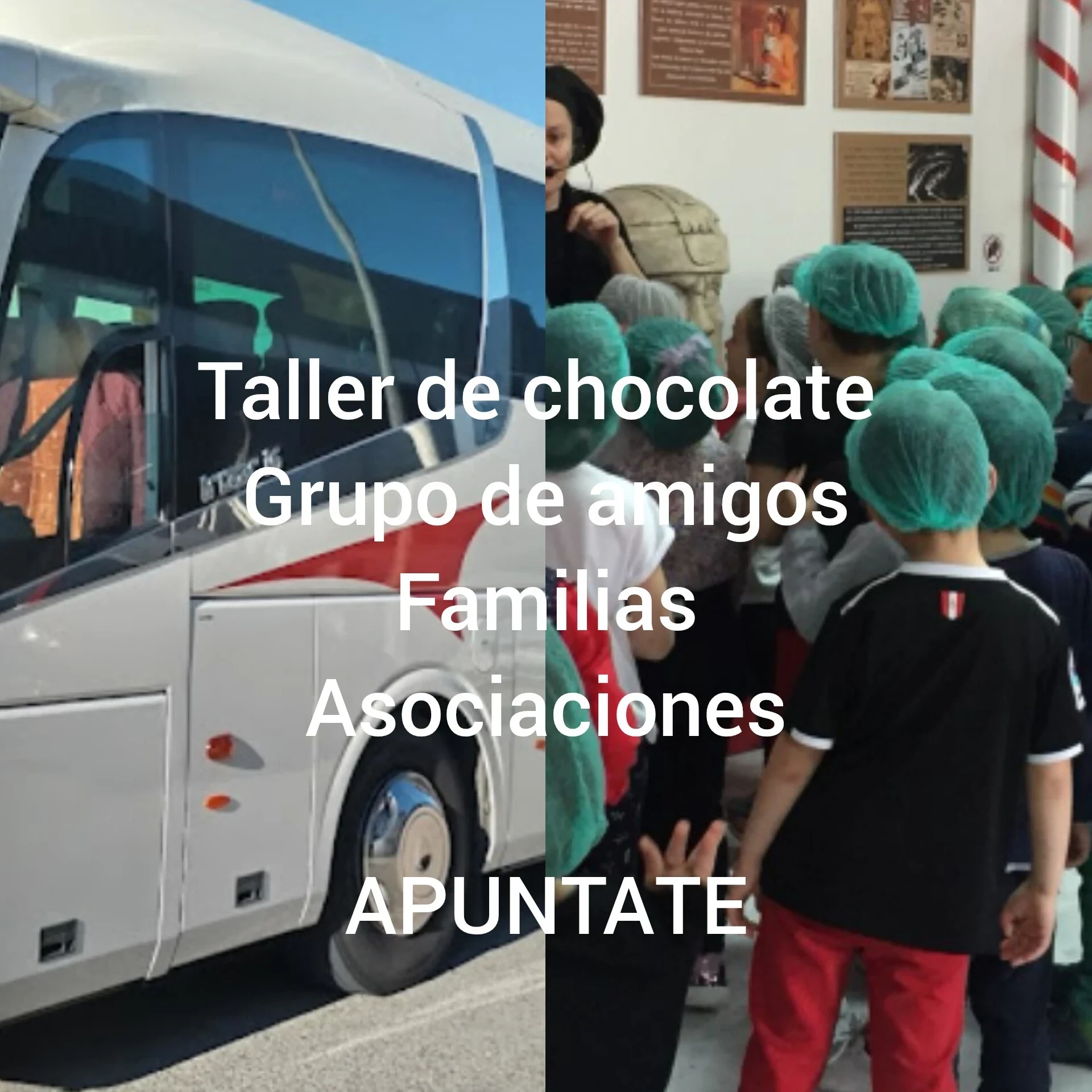 TALLER CHOCOLATE 