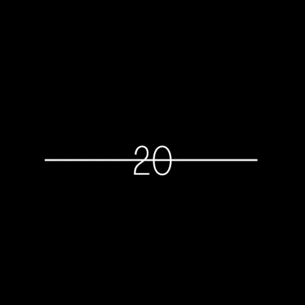 20