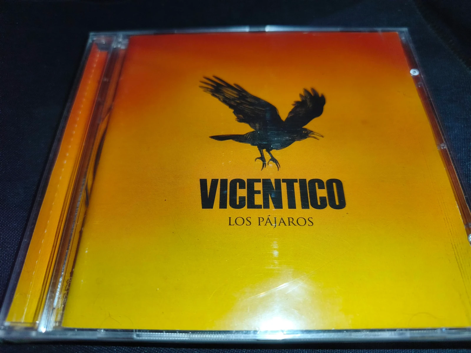 Vicentico - Los Pajaros (ARGENTINA)