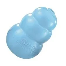 Kong puppy medium Celeste 2