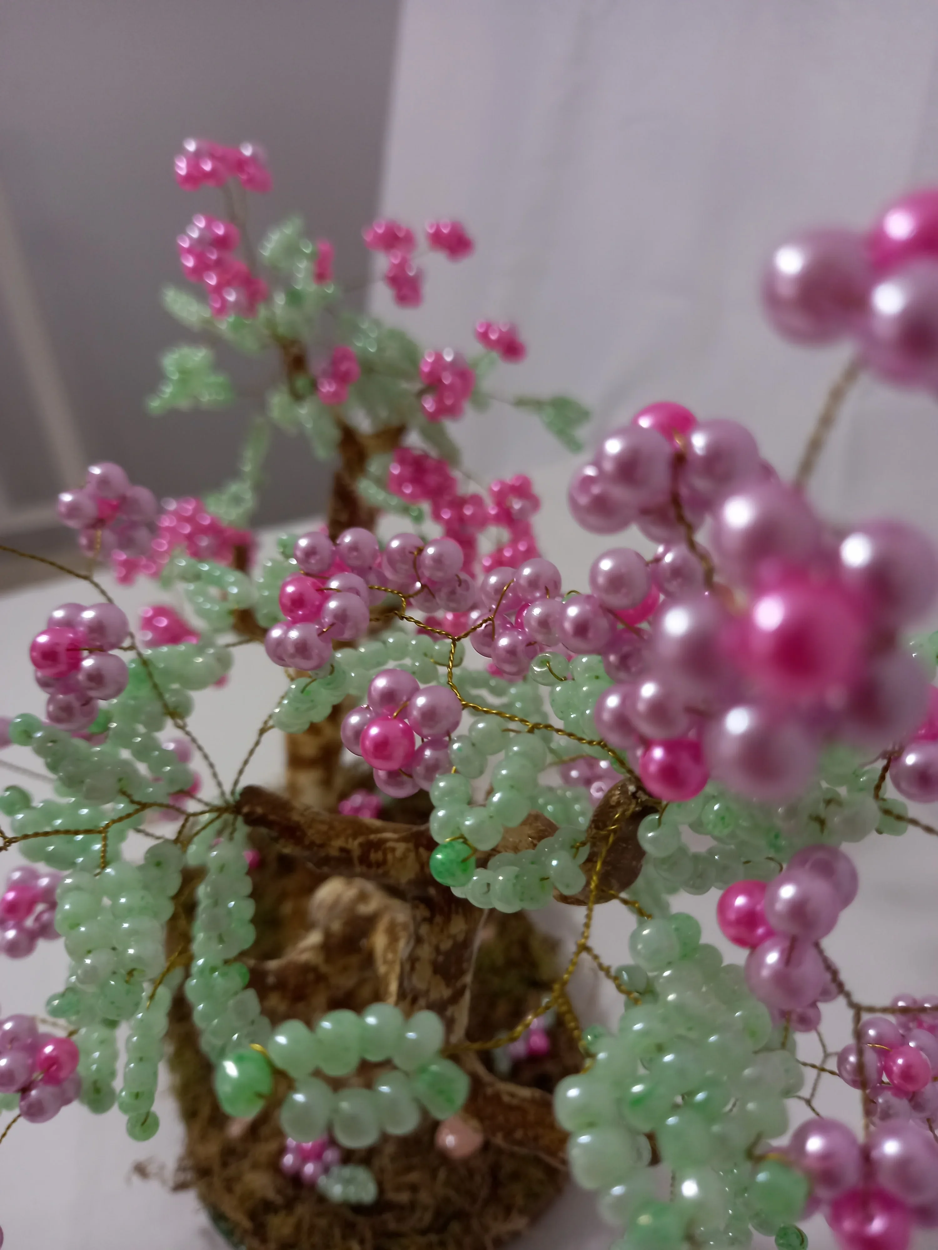 Bonsai Primavera Rosa Lila 2