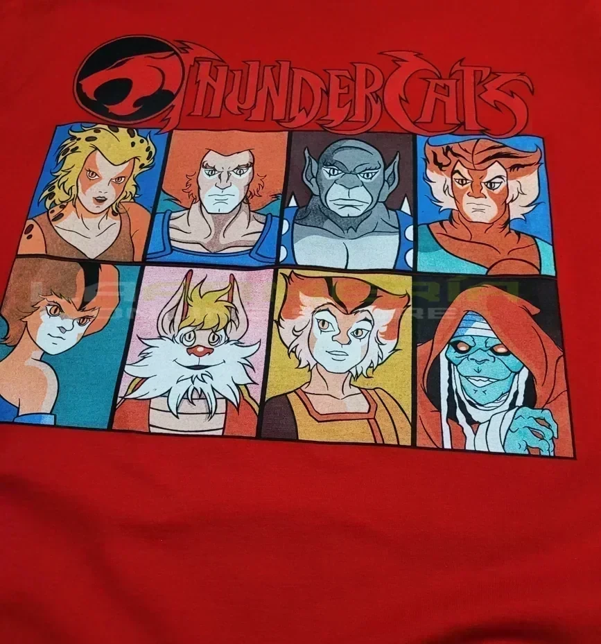Thundercats (S-M) 2