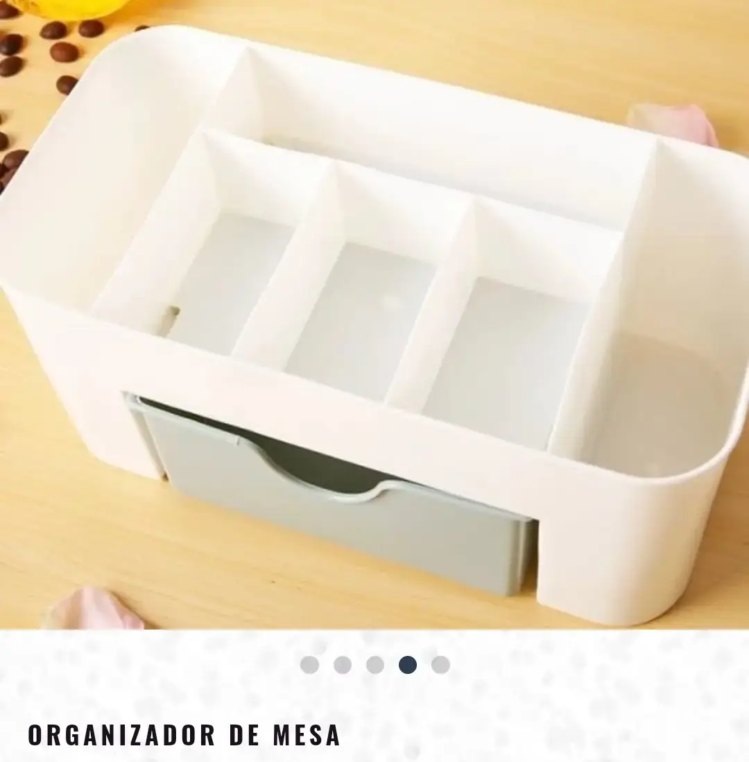 Organizador  4