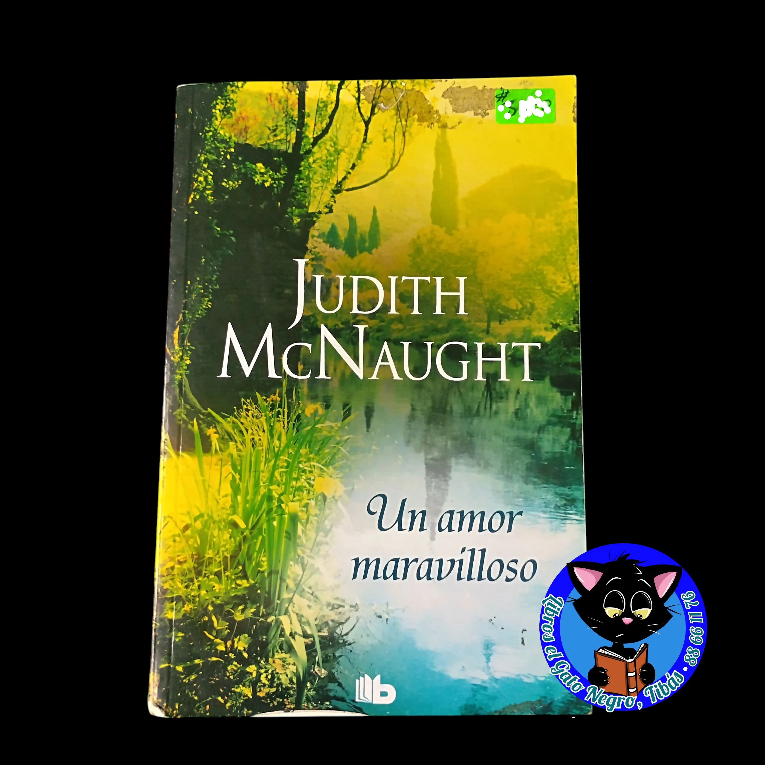Un amor maravilloso , Judith McNaught usado 