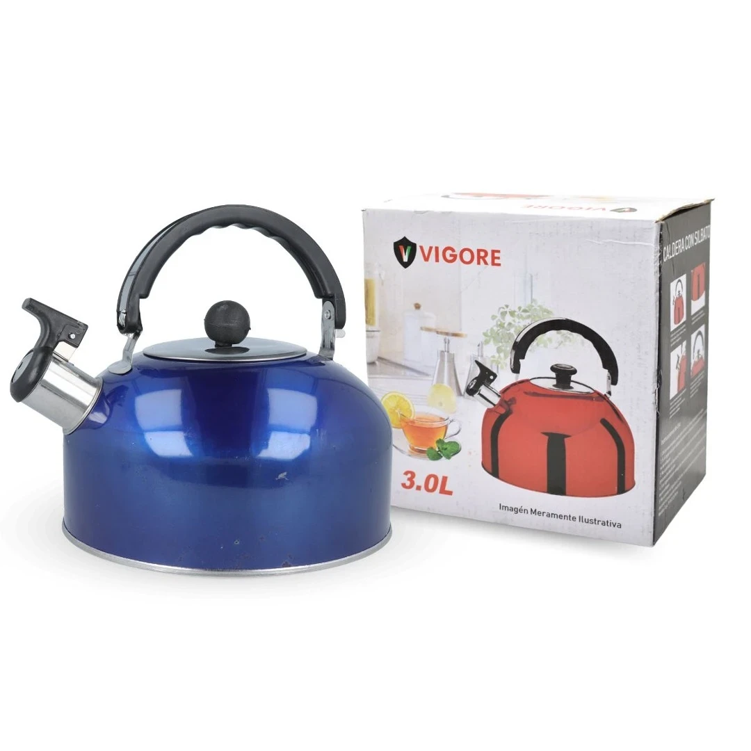 Caldera de Acero Inoxidable 3L 3