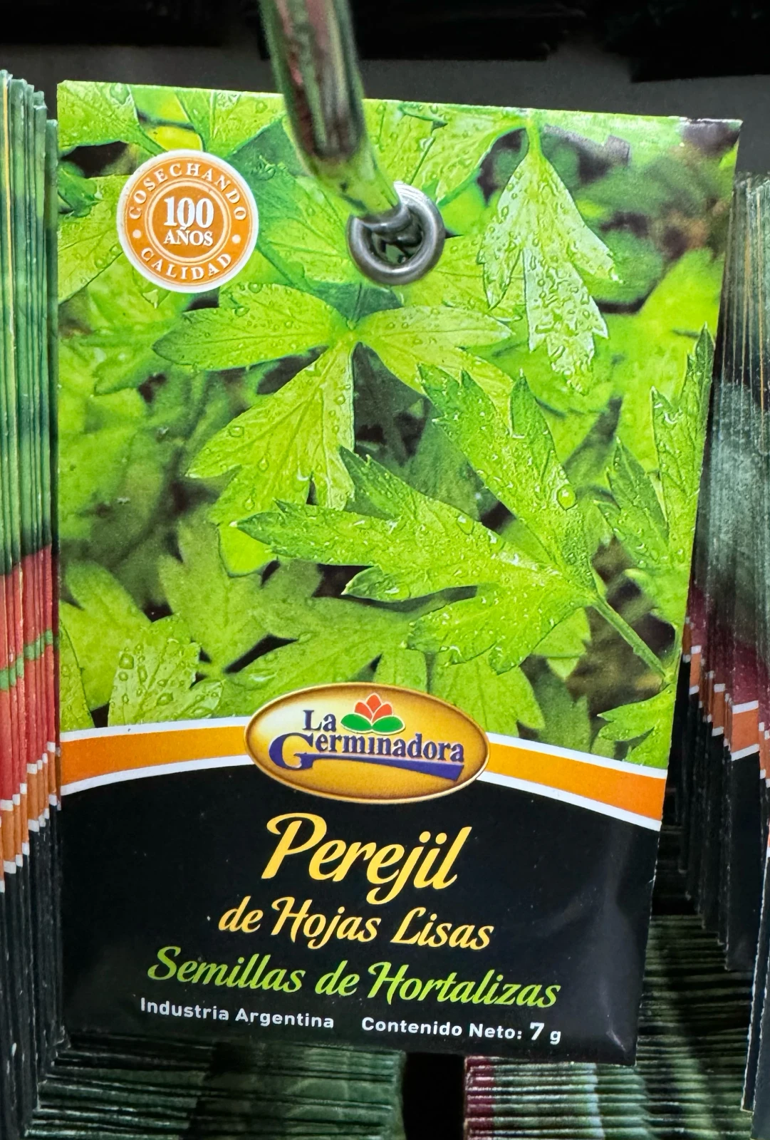 Semillas de perejil 