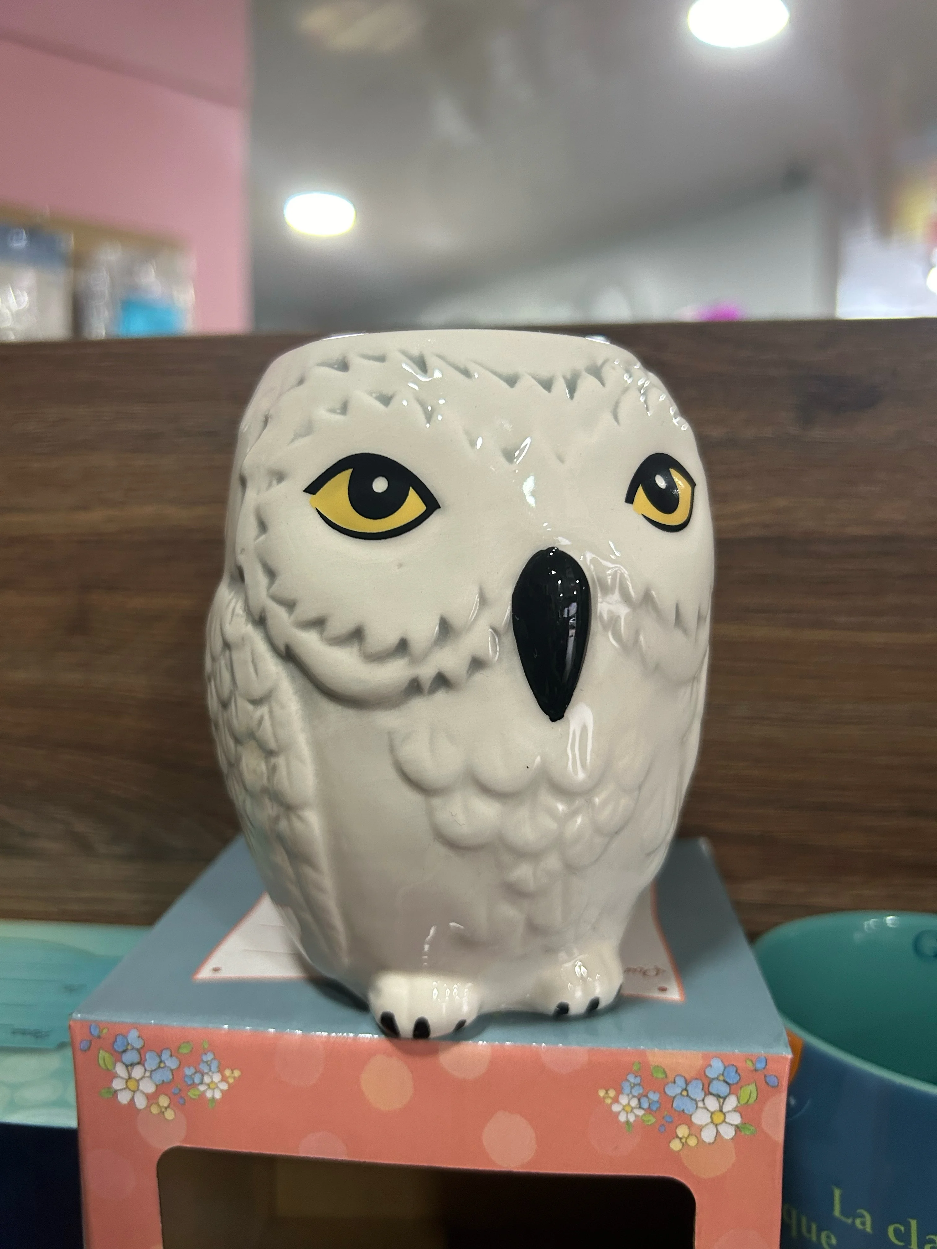 Taza Buho Harry Potter