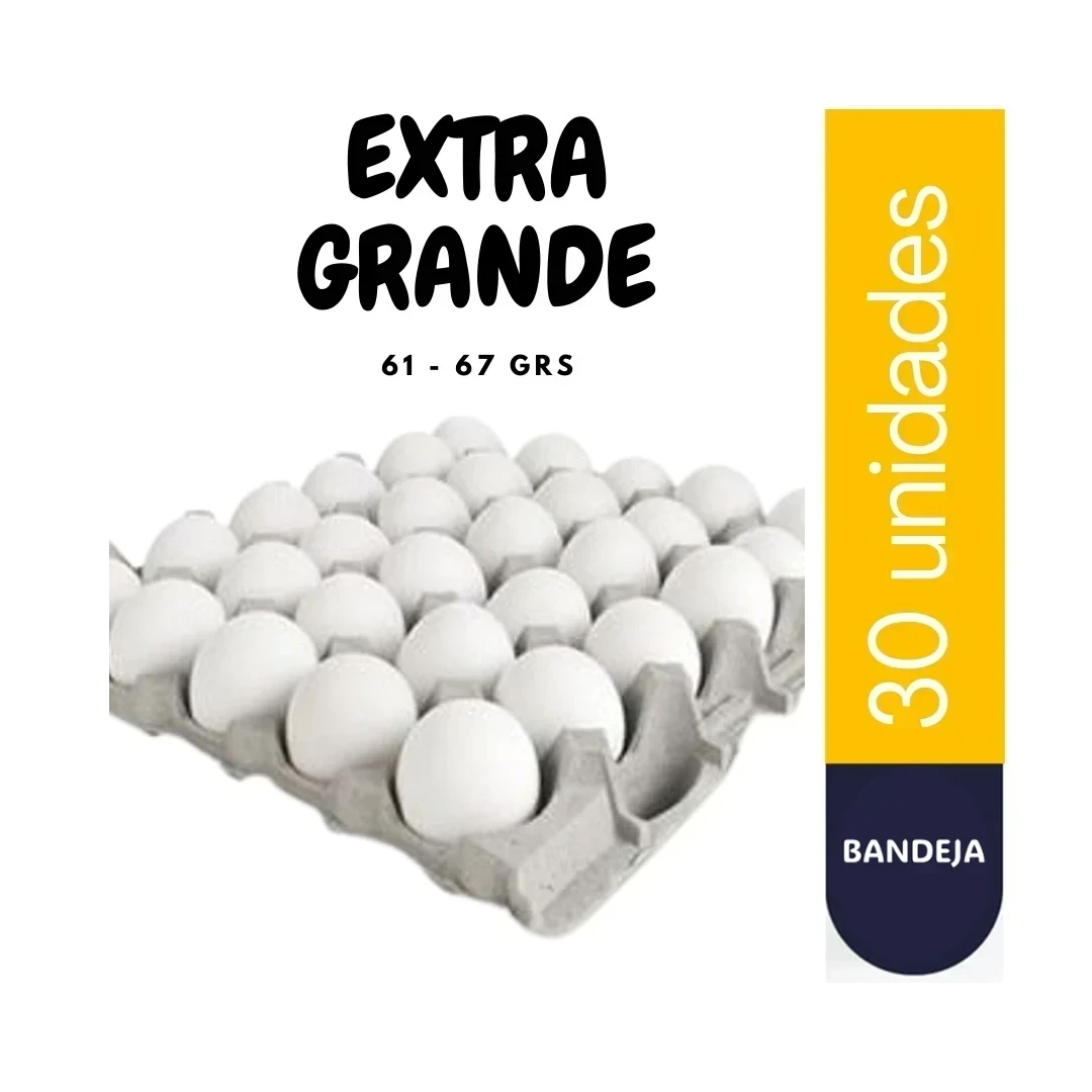 BANDEJA EXTRA GRANDE BLANCO 30U