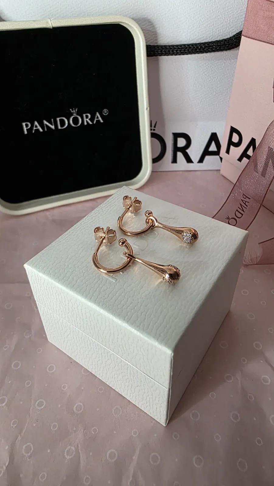 Pandora Modern Love Pods earrings 