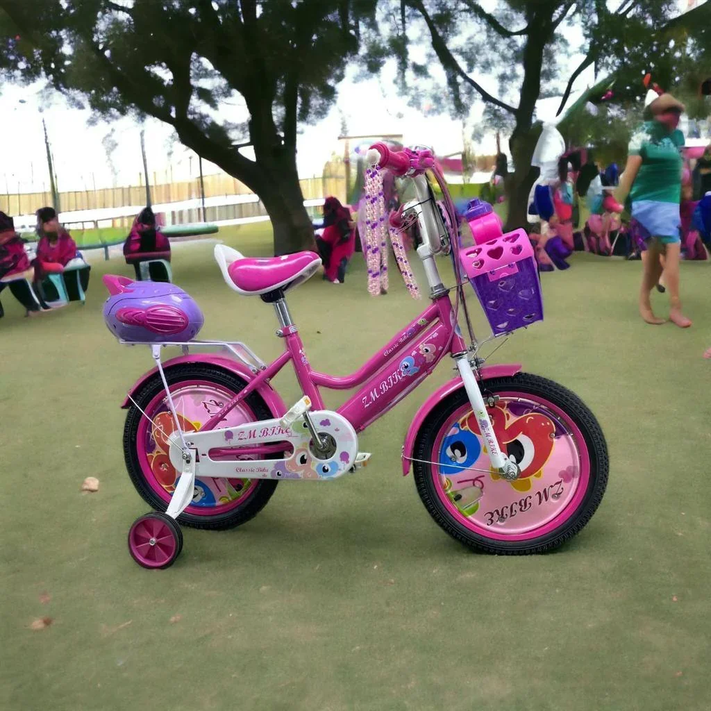 Bicicleta Rin 16 Princesa  2