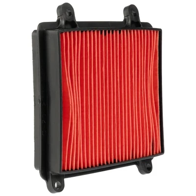 PL XR 150 L Filtro de aire GX 66671-831145