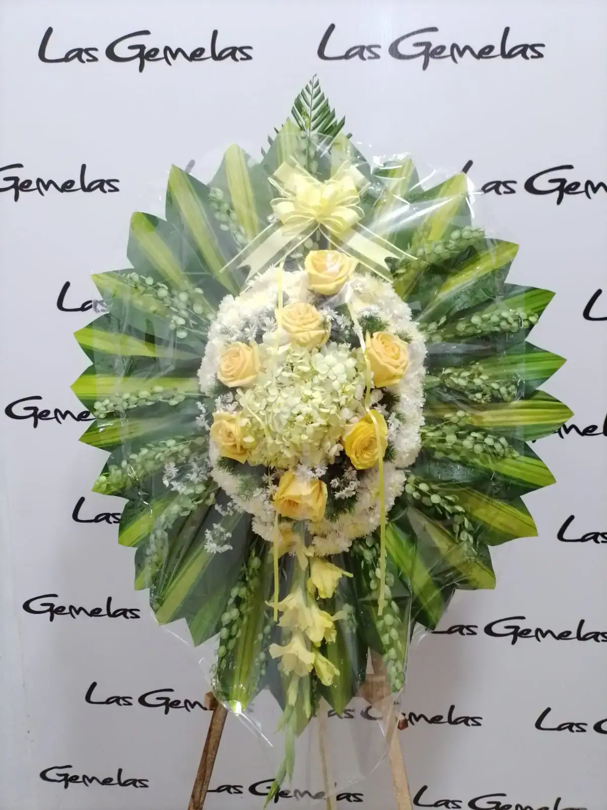 Lagrima 2