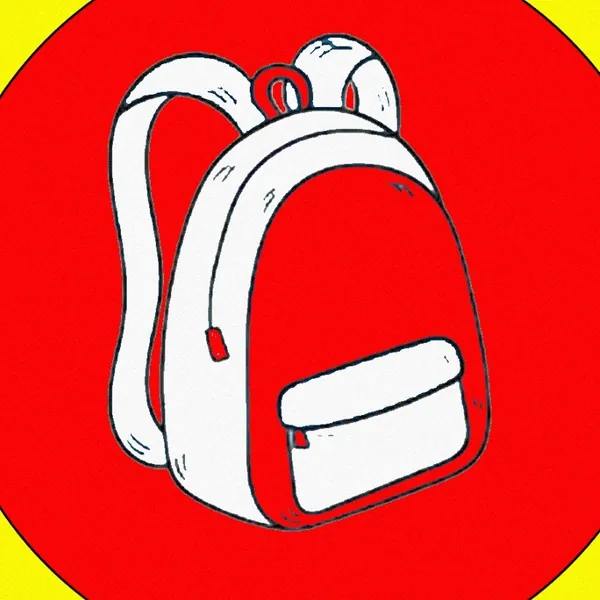 Bolsos y Morrales