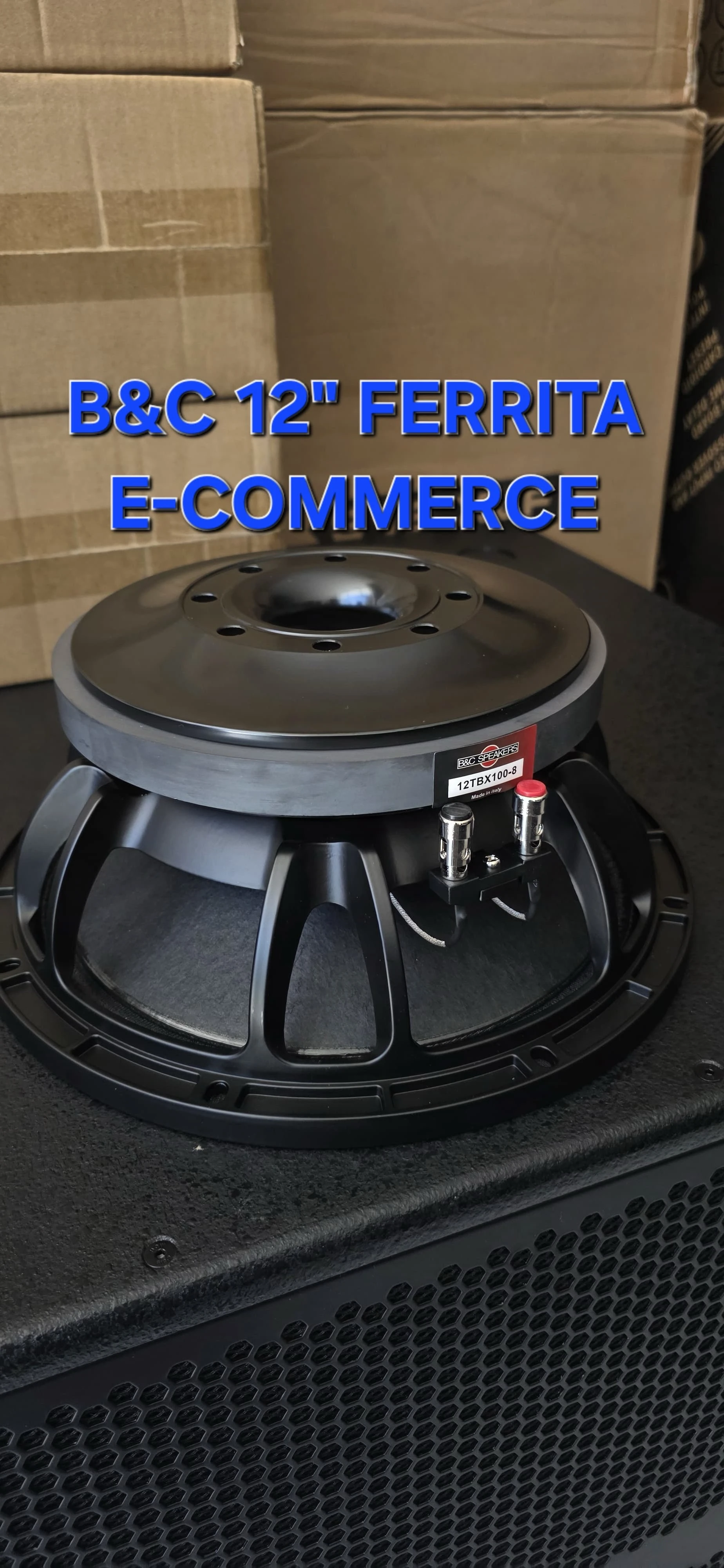 B&C FERRITA 12" PRECIO: 1000BS