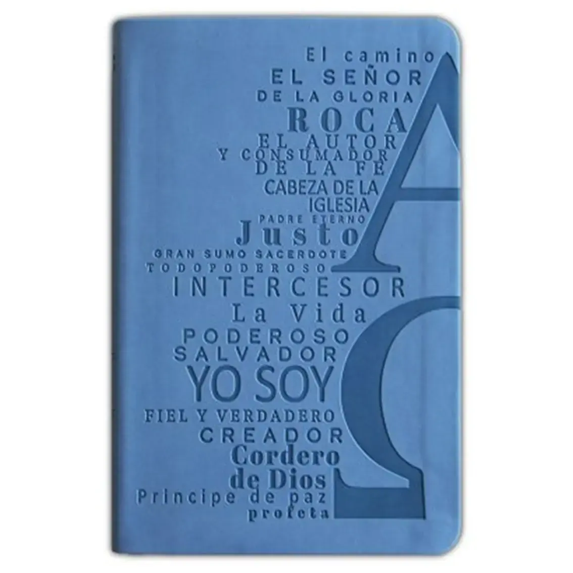 Santa Biblia Nombres de Dios Letra grande RVR60 Azul celeste 2