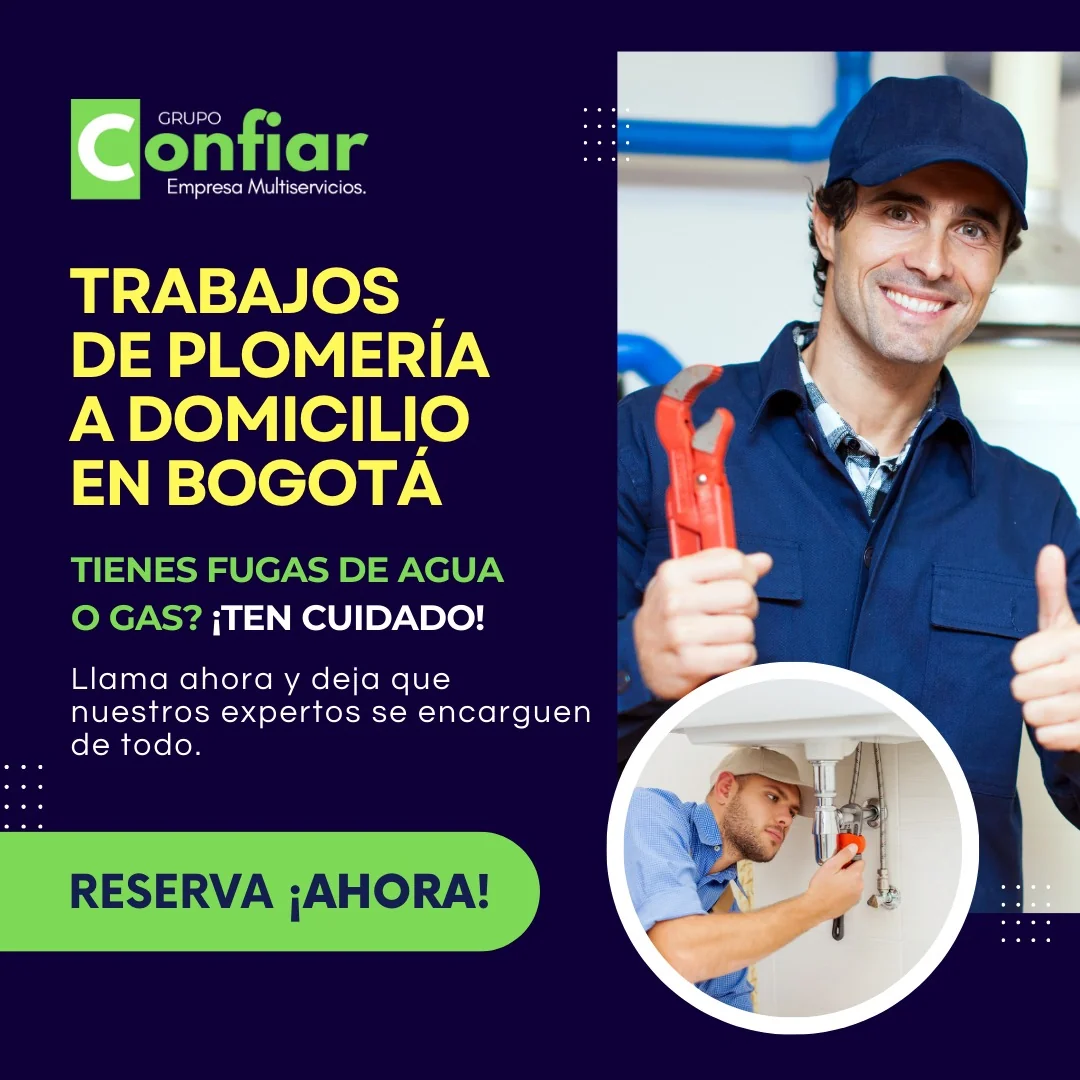 Servicio técnico de revisión de plomería
