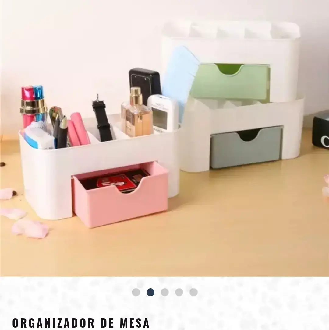 Organizador  2