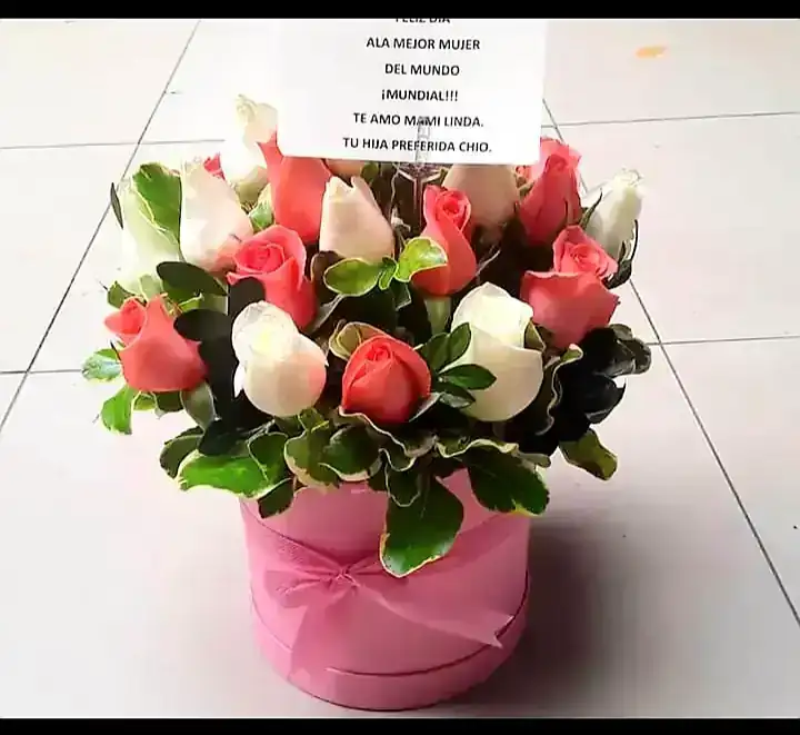 Box